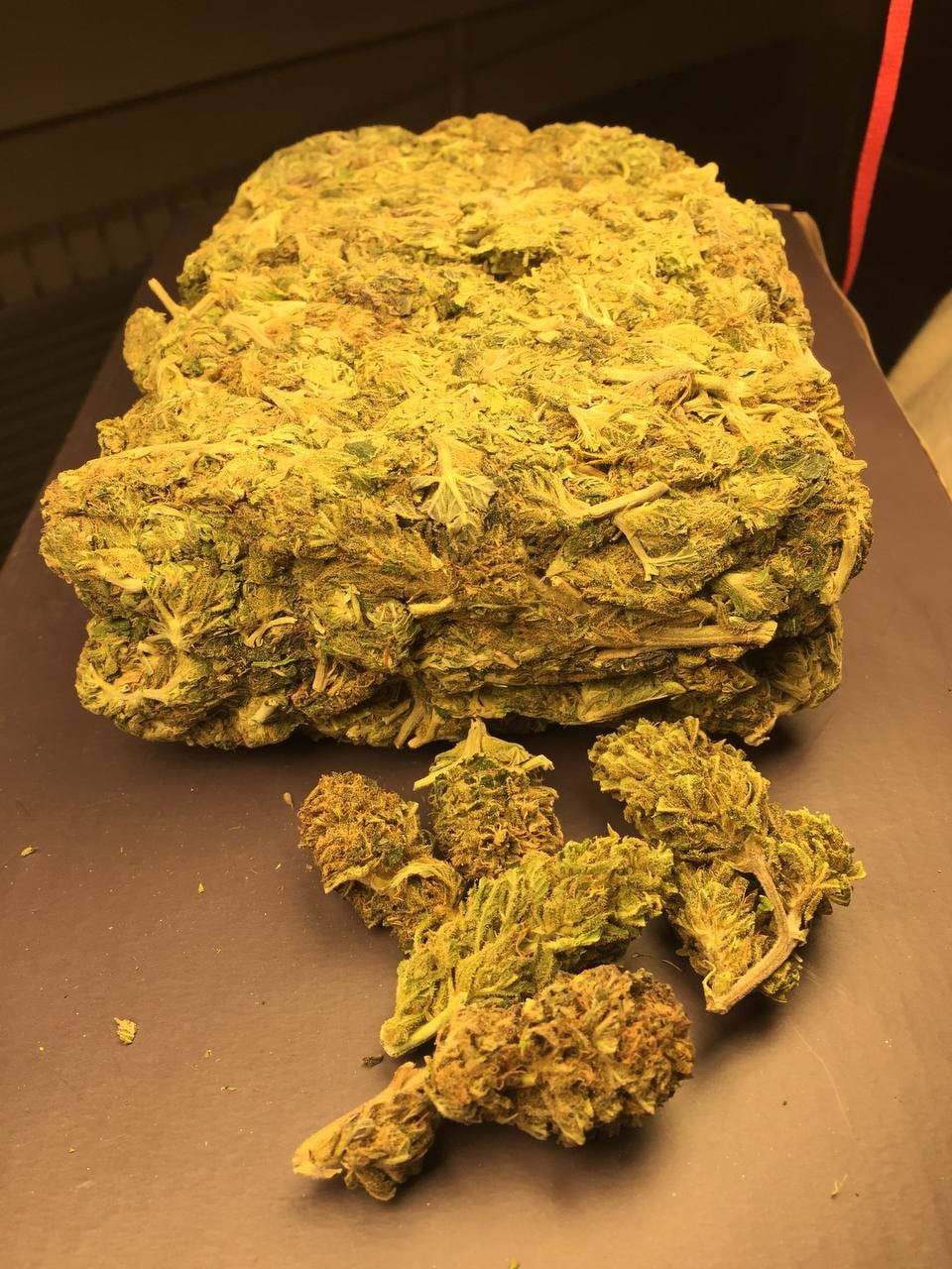 大猩猩胶水（10g）